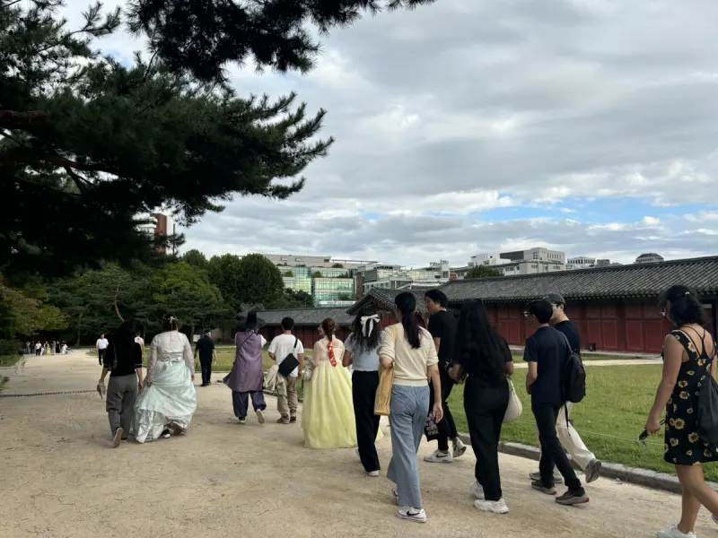 팰리스 행아웃